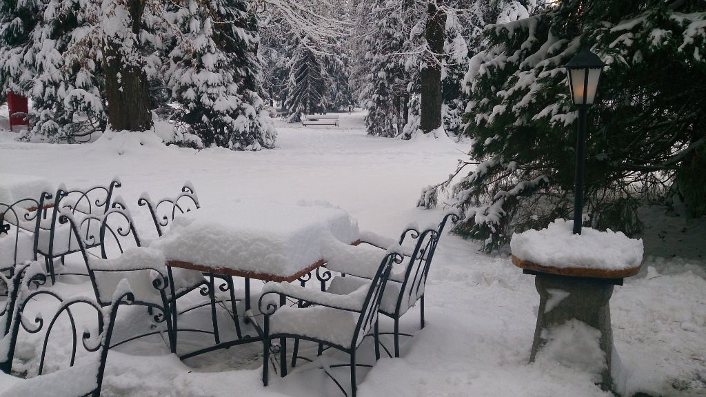 medinaskrinja114335841