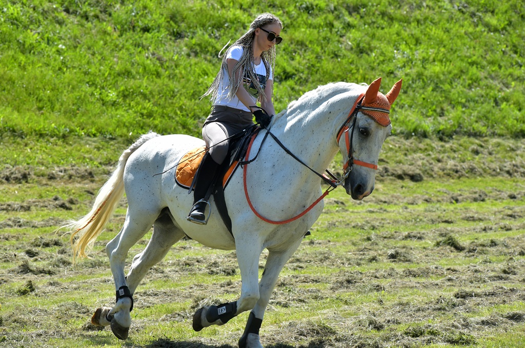 Image 5377154 (auto)