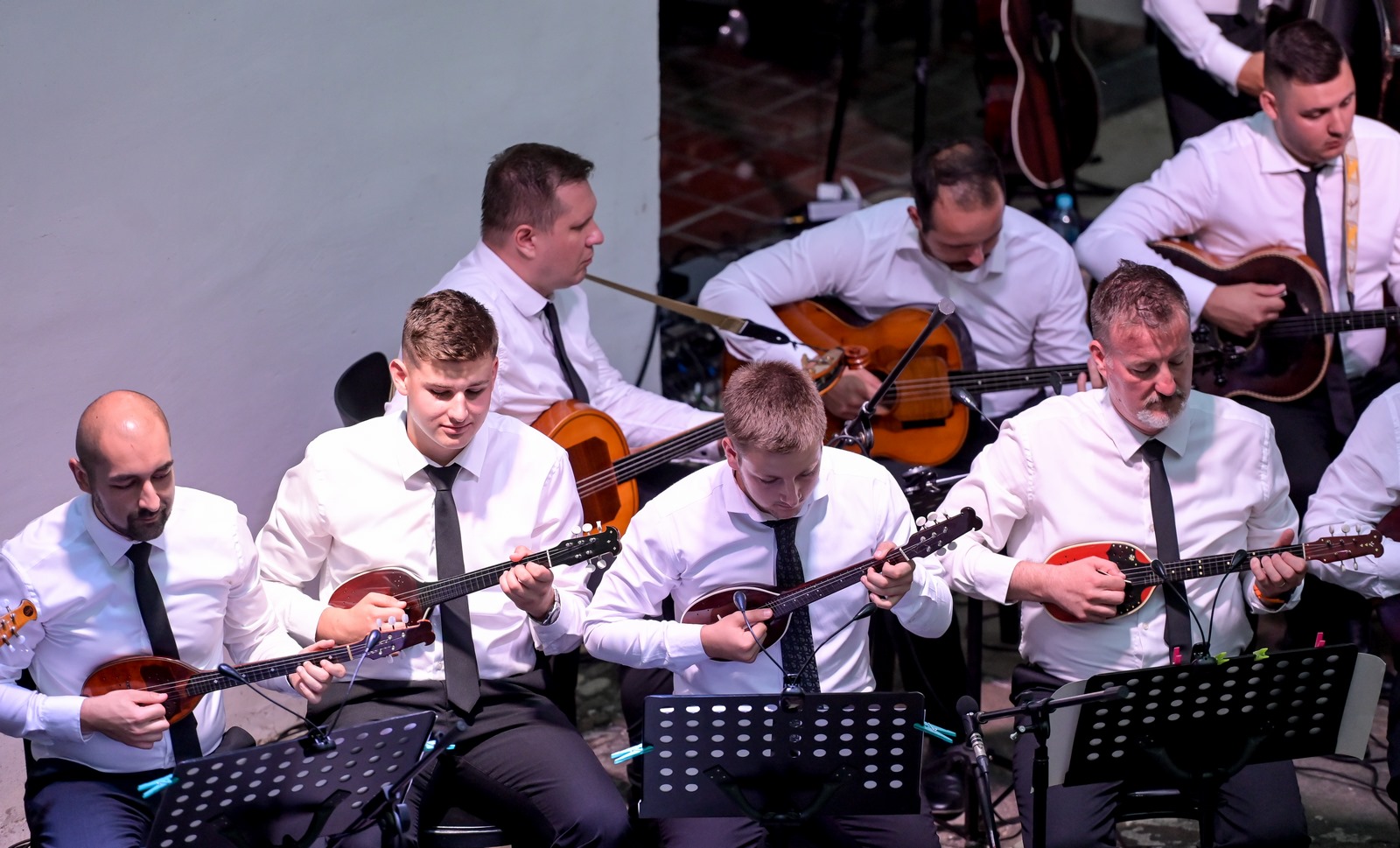 Image 5772169 (auto)