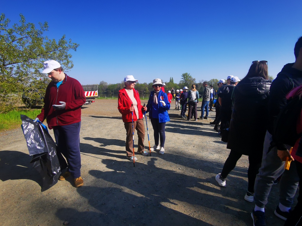 Image 5666853 (auto)