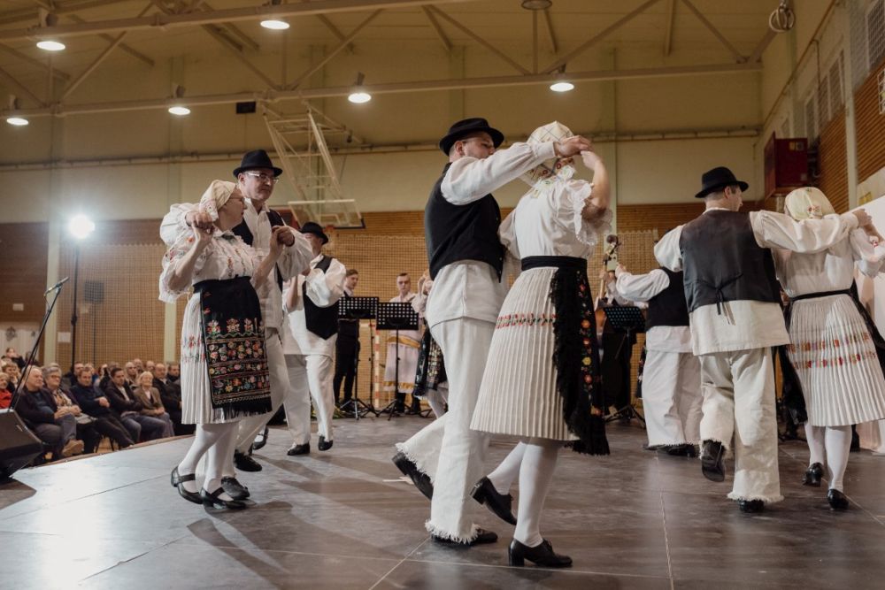 Image 5911847 (auto)