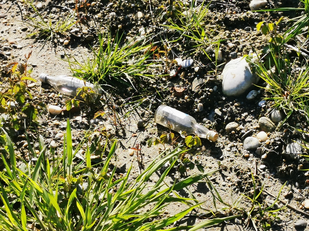 Image 5666871 (auto)