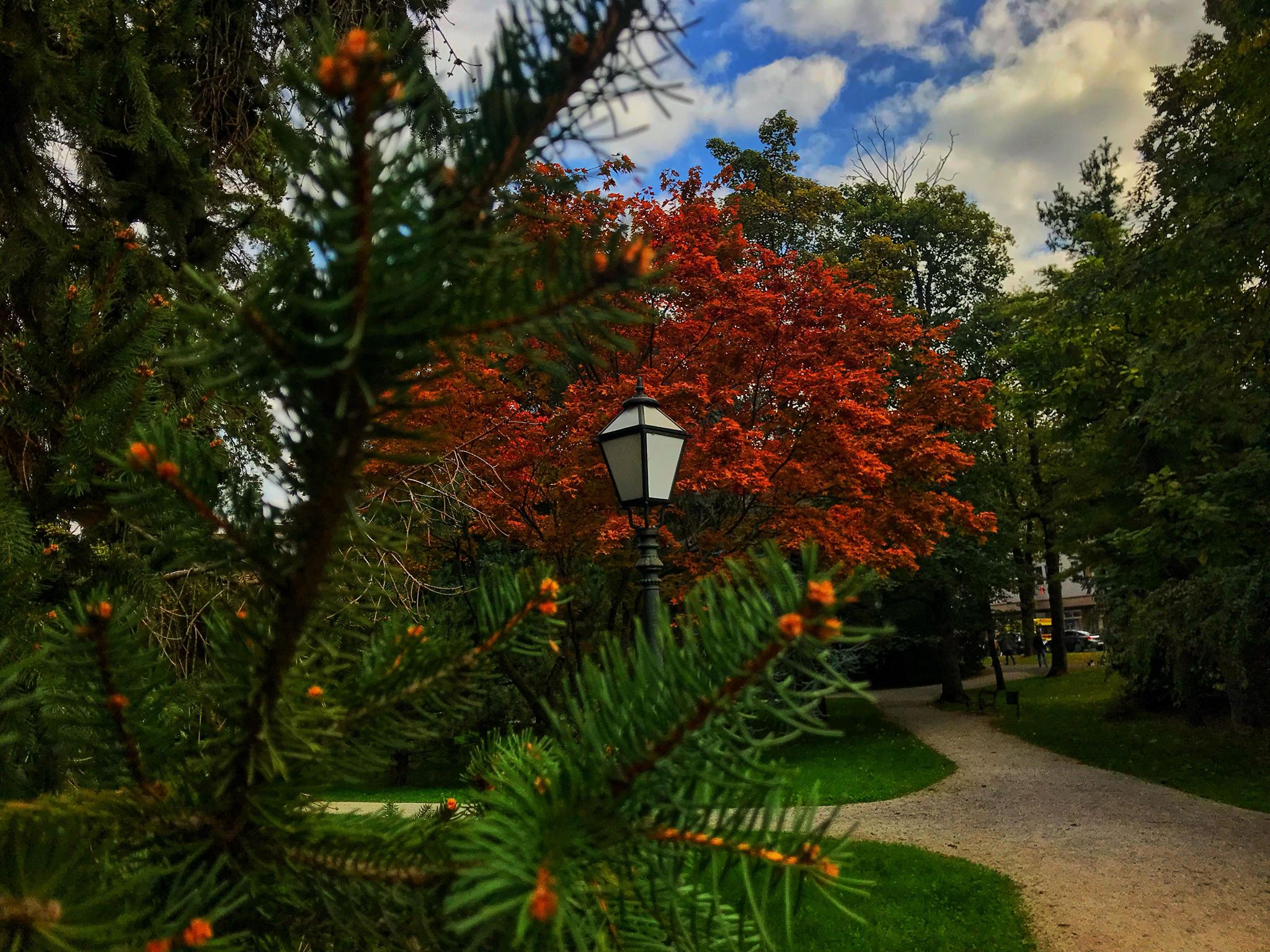 Jesen u varaždinskom parku