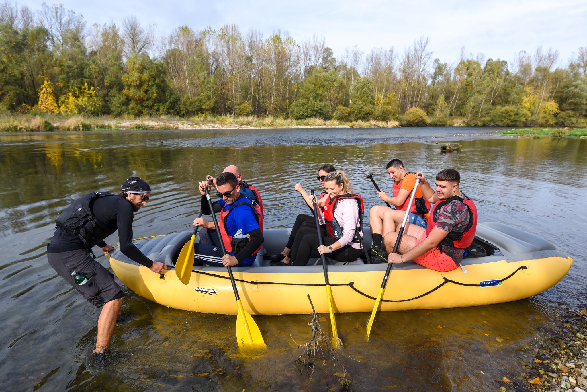 Image 5505986 (auto)