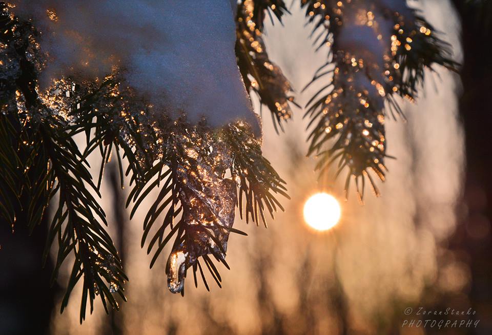 Zima i proljeće, Ivanščica