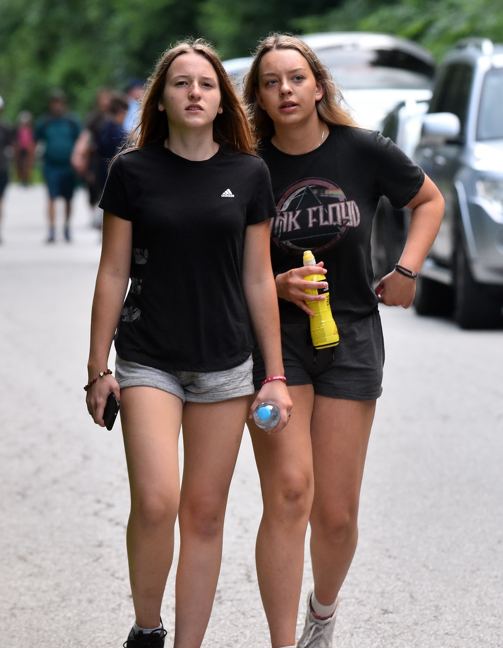 Image 4542390 (auto)