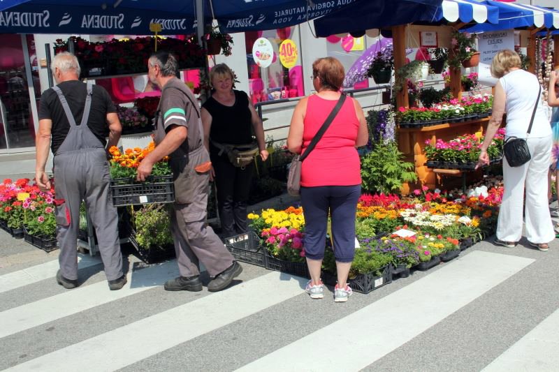 1351665011526929214478988552938