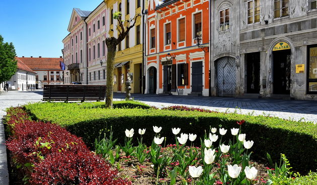 Proljeće 2020. godine, cvijeće, varaždin, prognoza Proljeće 2020. godine, cvijeće, varaždin, prognoza