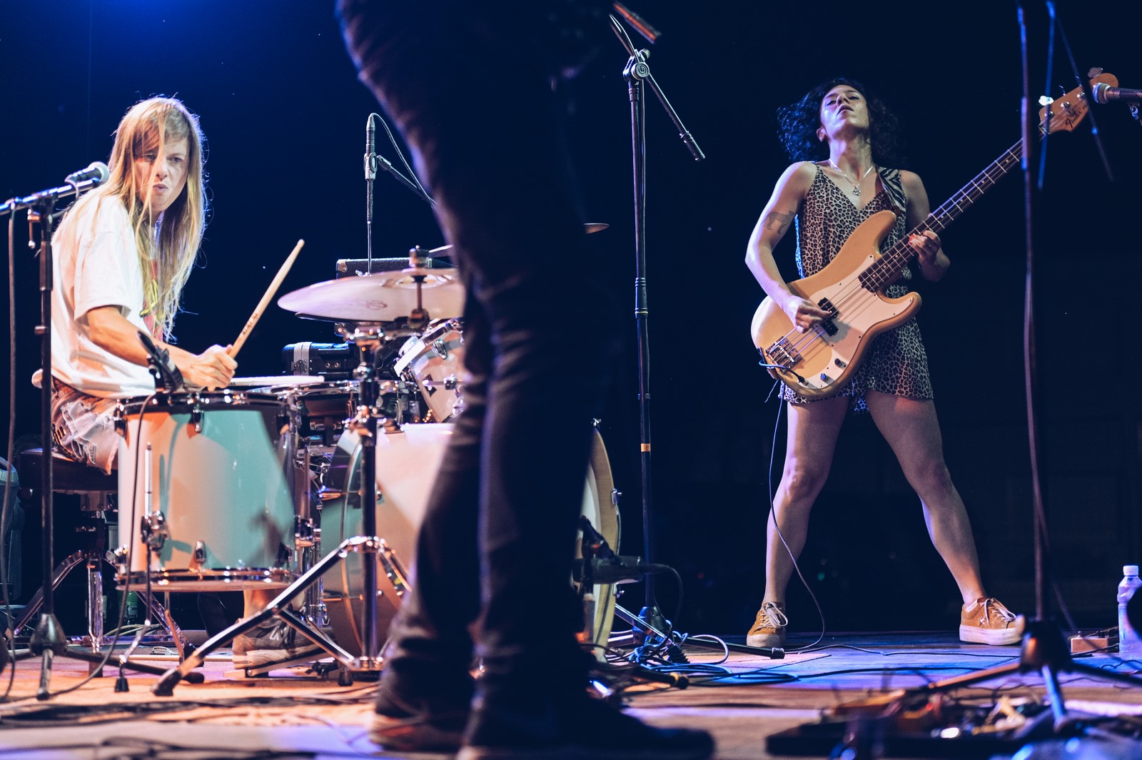 Image 4967710 (auto)