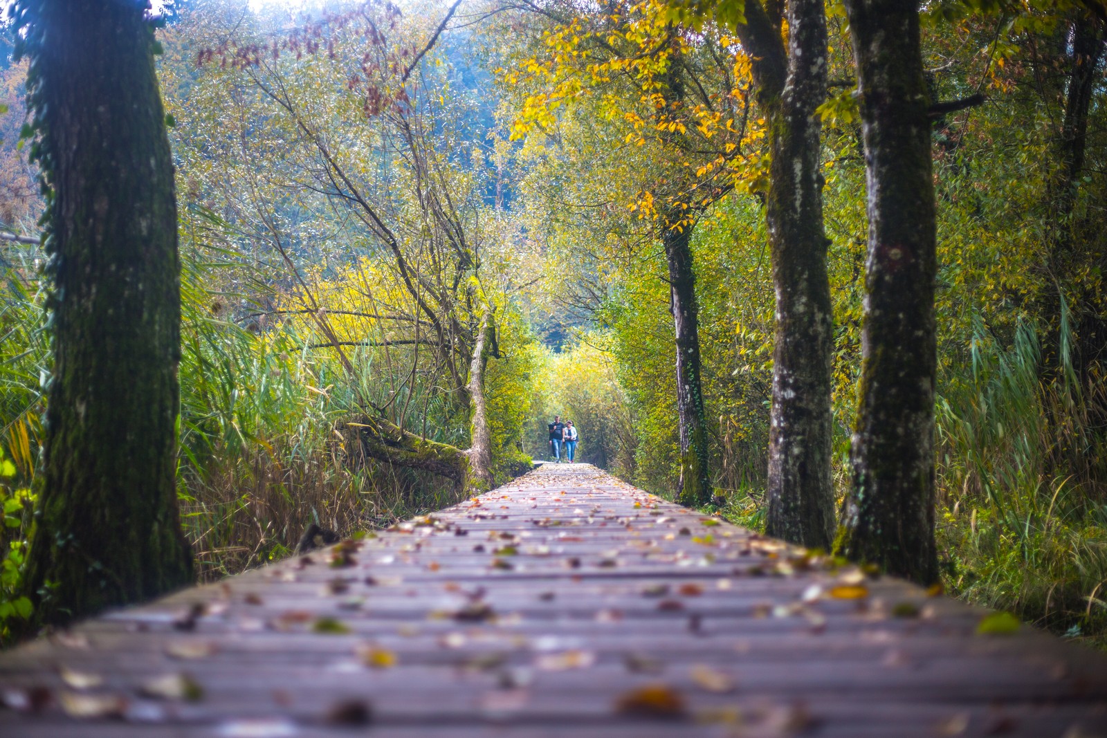 Jesen u Trakošćanu