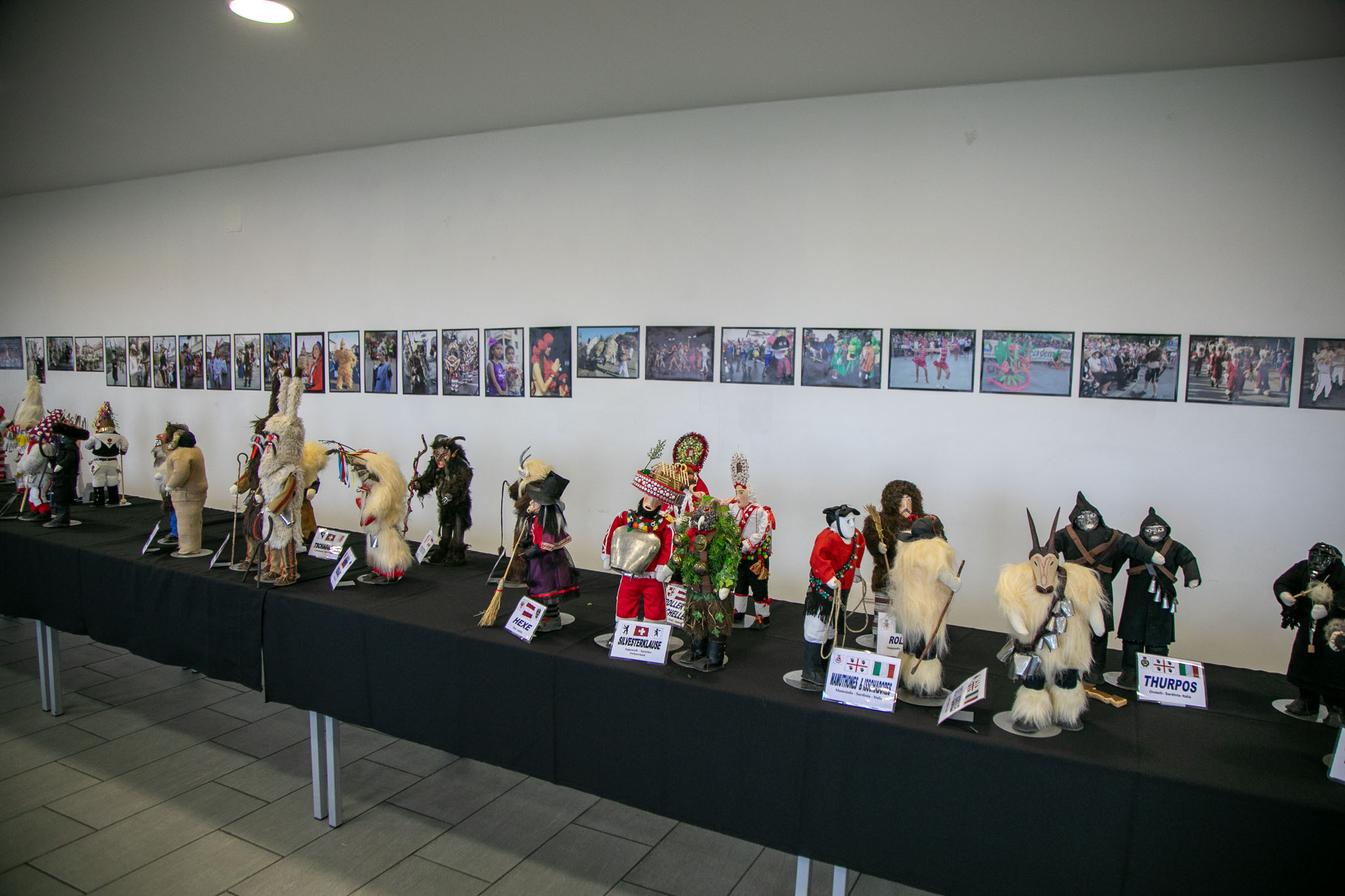 Image 5966075 (auto)