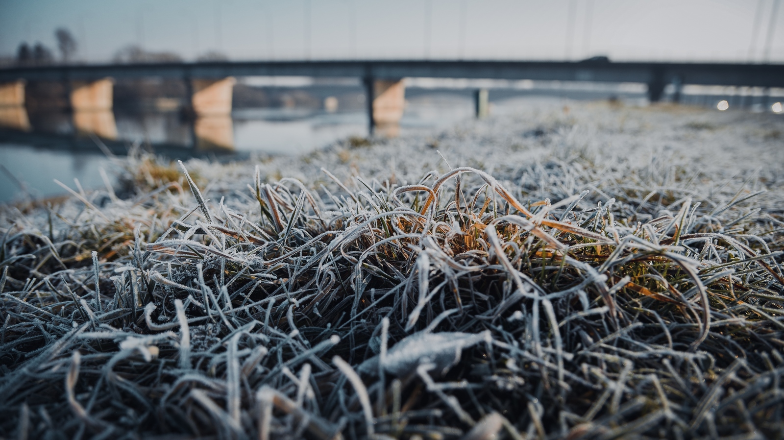 Drava, dravska špica, zima 21.1.2020.