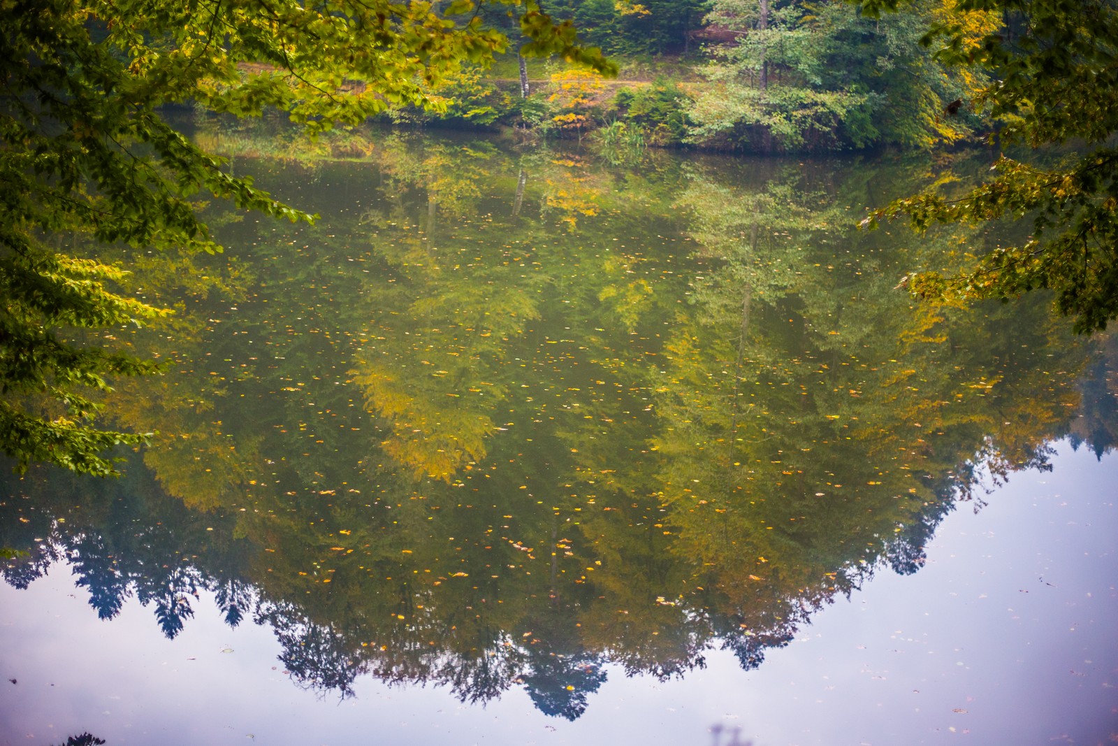 Jesen u Trakošćanu
