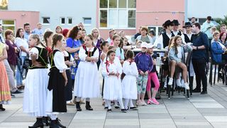 Image 5418972 (auto)