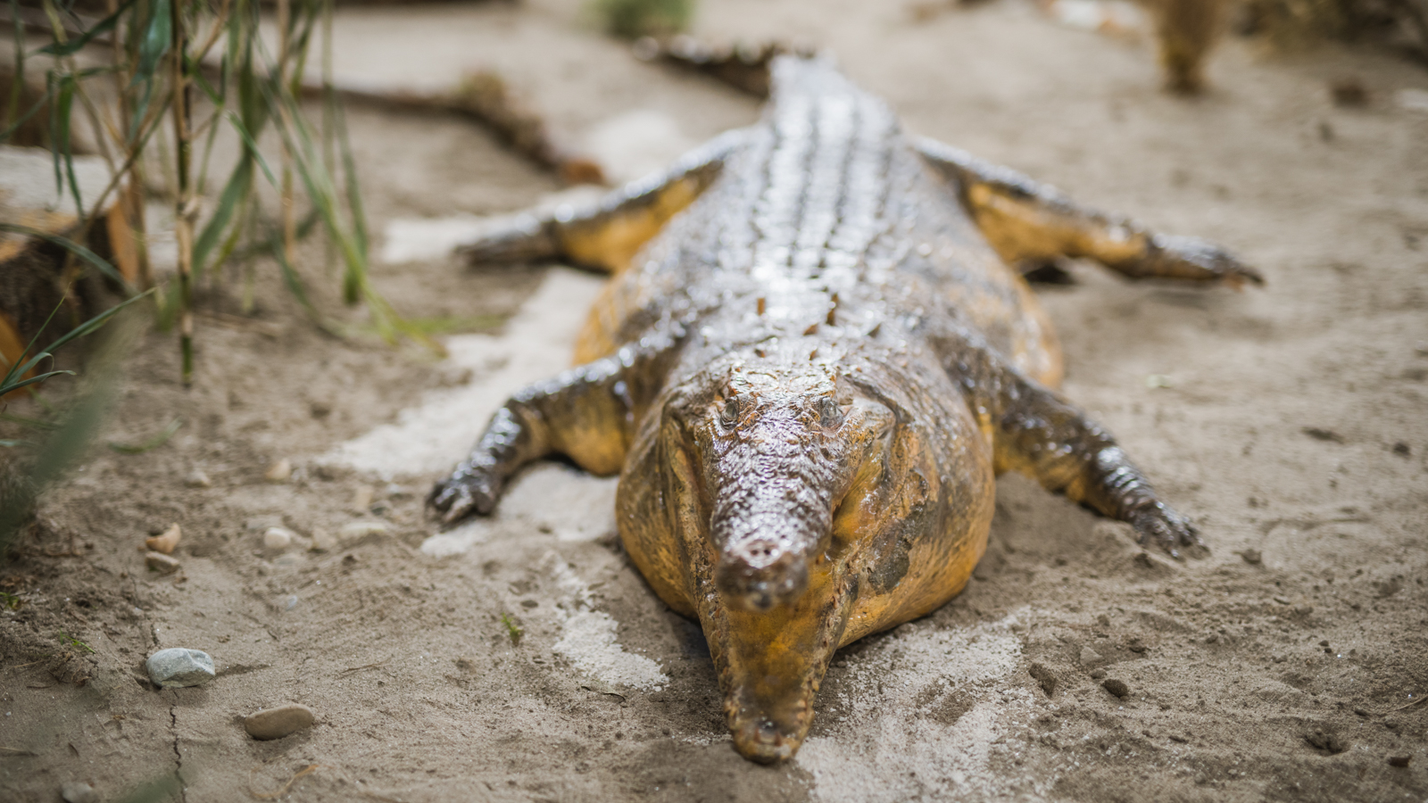 Međunarodni sajam ‘Priroda, lov, ribolov, turizam’ 2019., Arena Varaždin