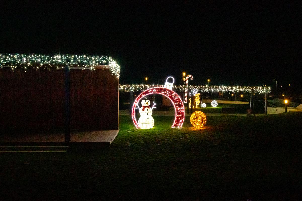 Image 5535256 (auto)