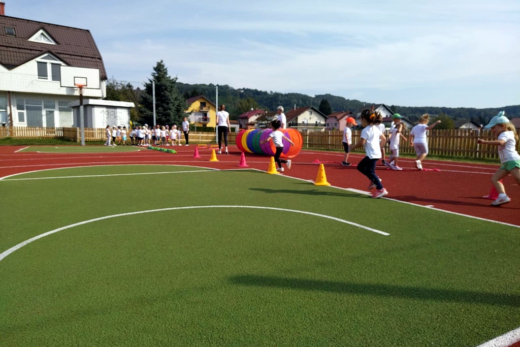 Image 5836331 (auto)