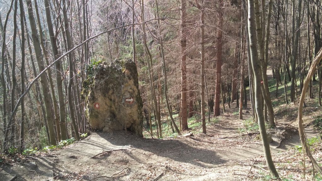 20150411091252511227