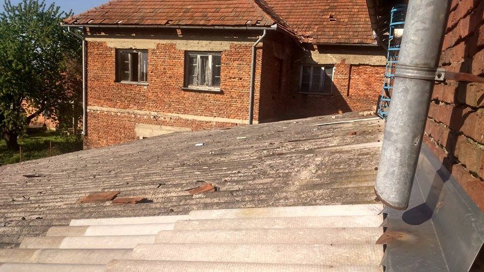 bolfandrustvenidom01556543