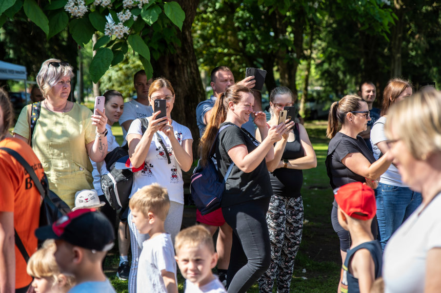 Image 5735689 (auto)