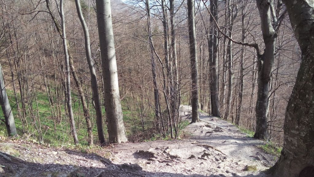 20150411090629925129