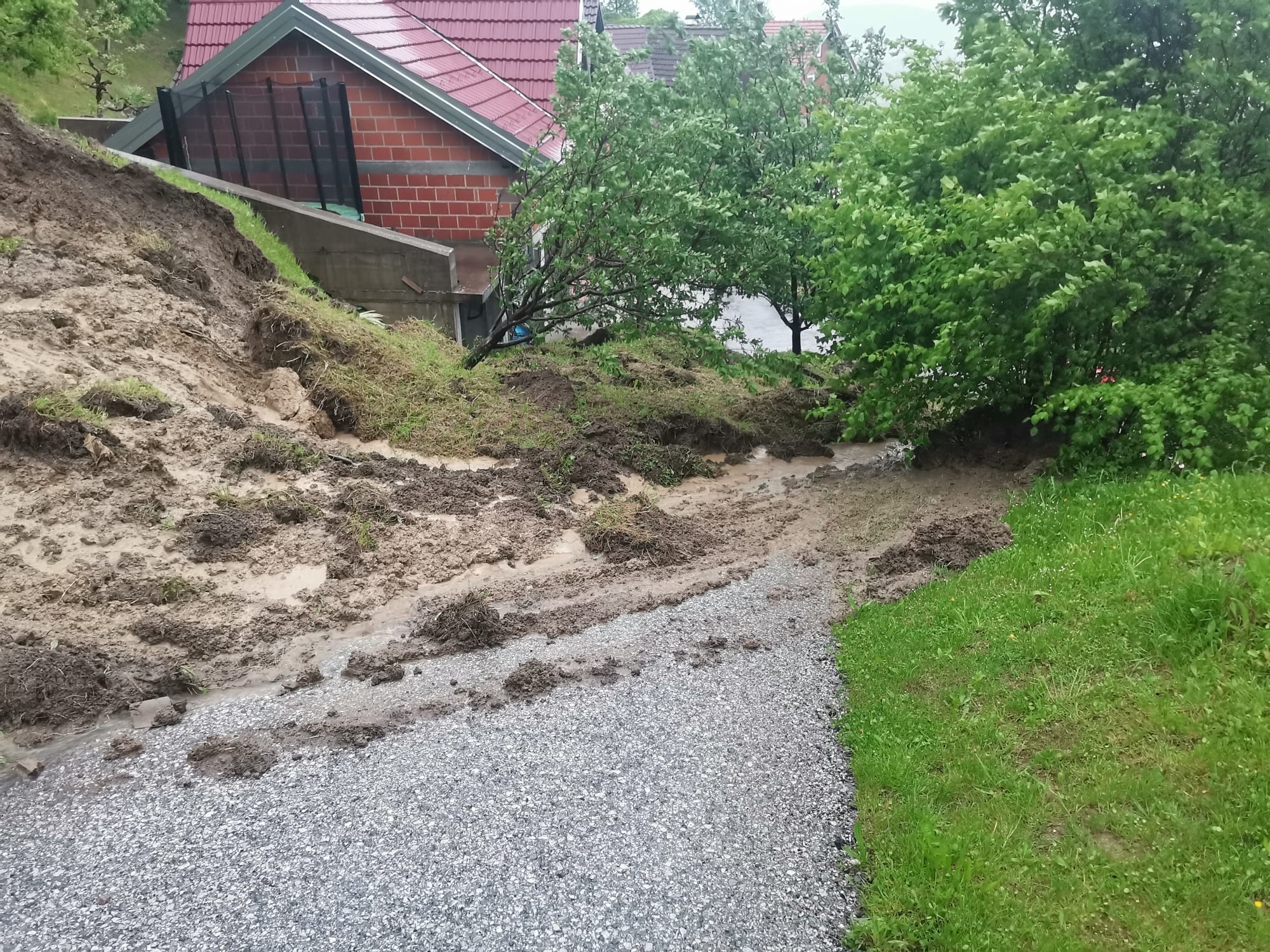 Image 5696739 (auto)