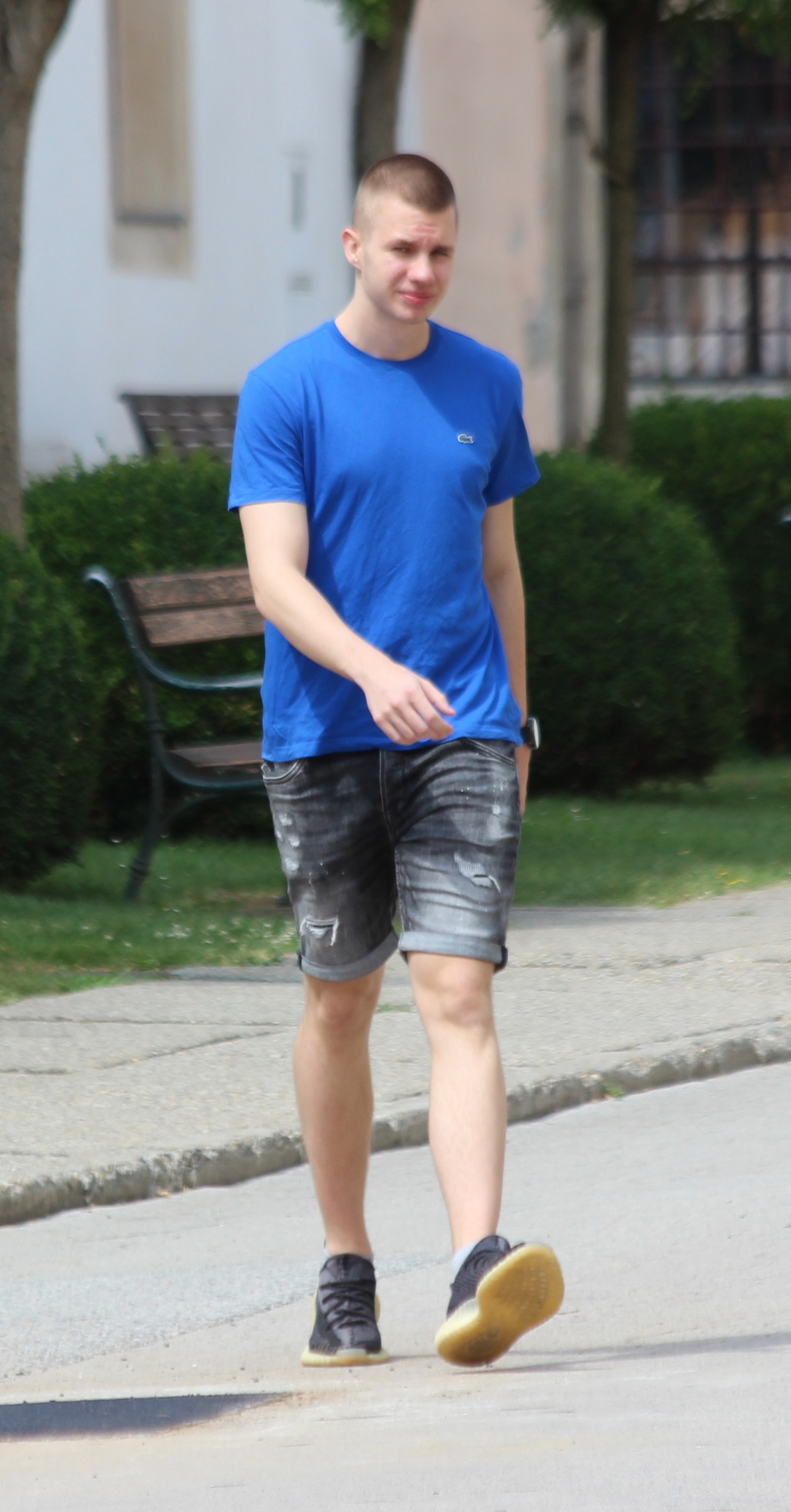 Image 5412698 (auto)