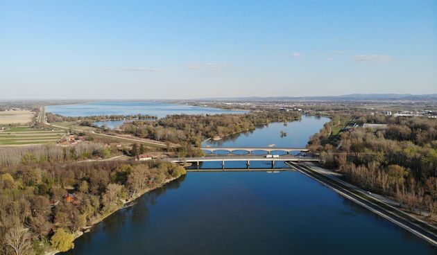 Drava, Dravska šuma