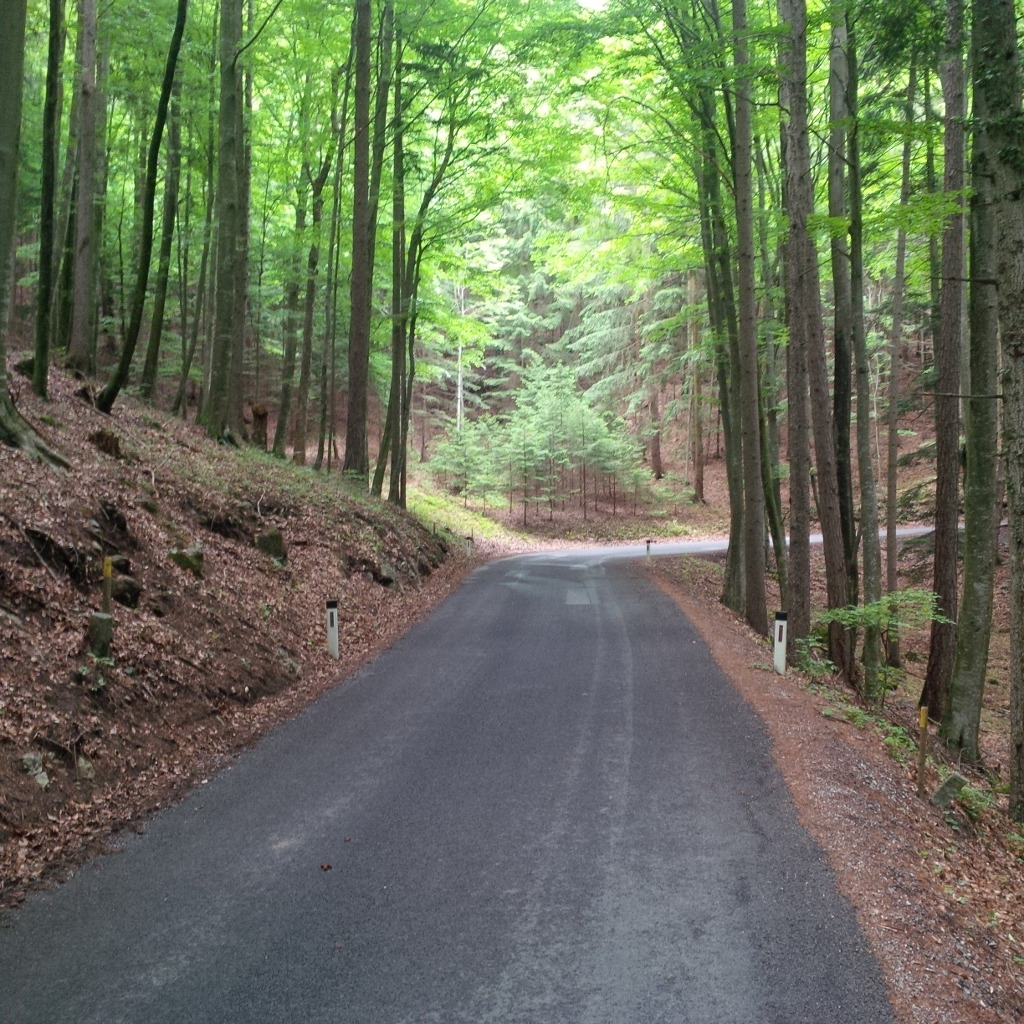 damirmatijevicbiciklomdopraga2r