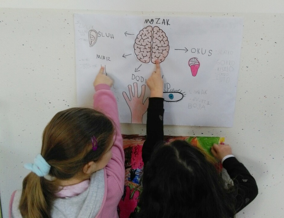 Dječji vrtić Bajka Tjedan mozga