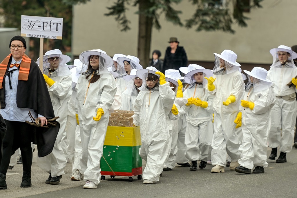 Image 5611465 (auto)