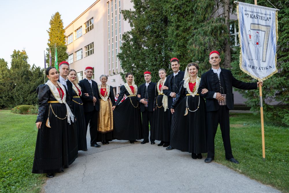 Image 5834247 (auto)