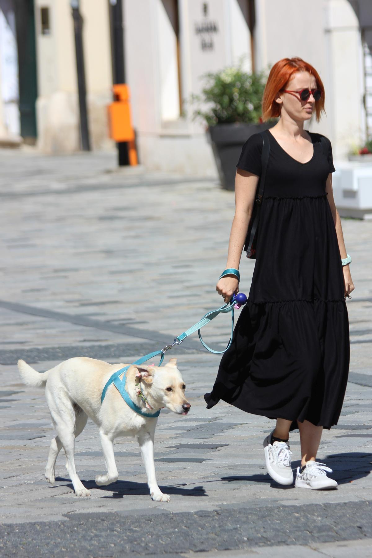 Image 5418810 (auto)