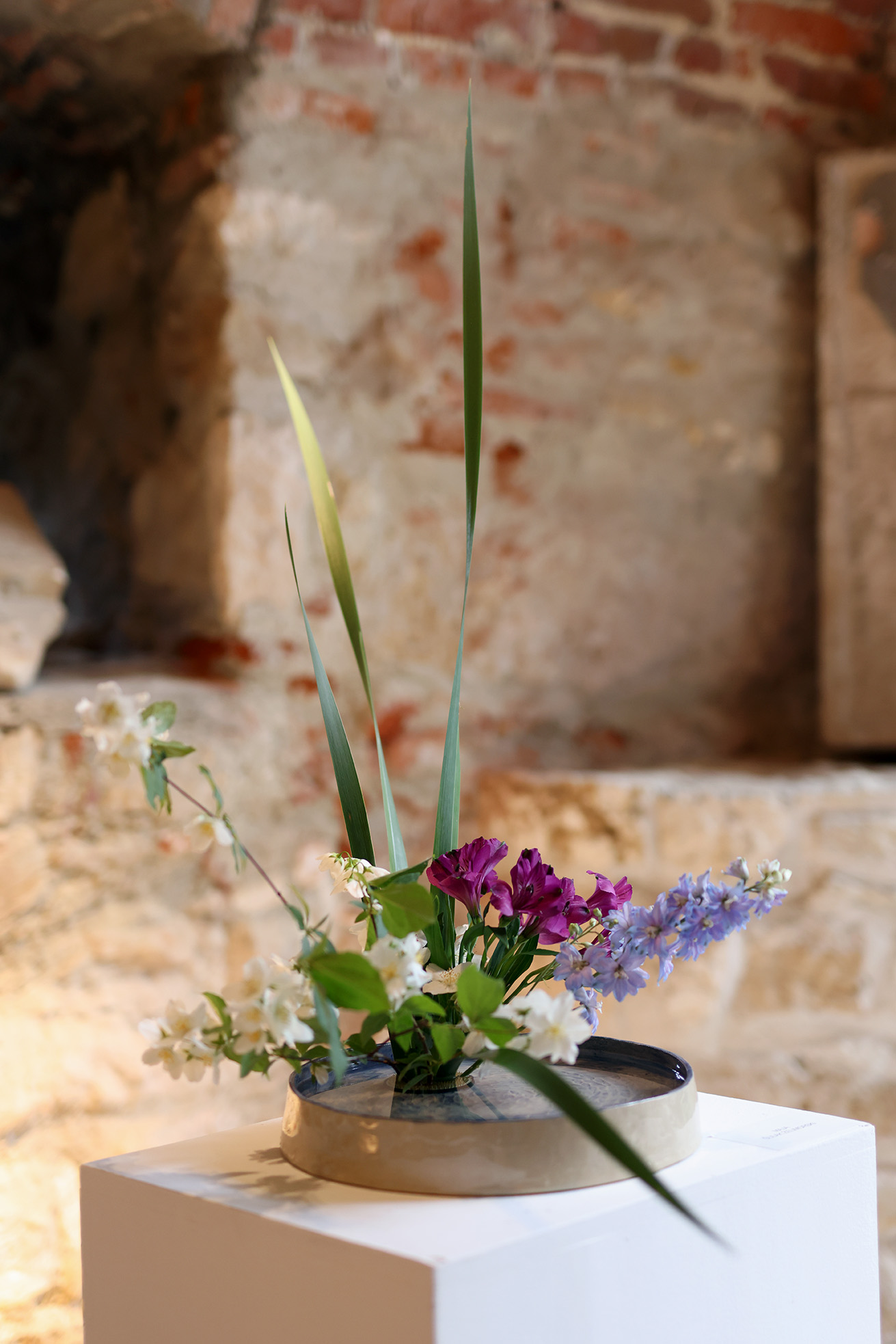 Image 5725371 (auto)