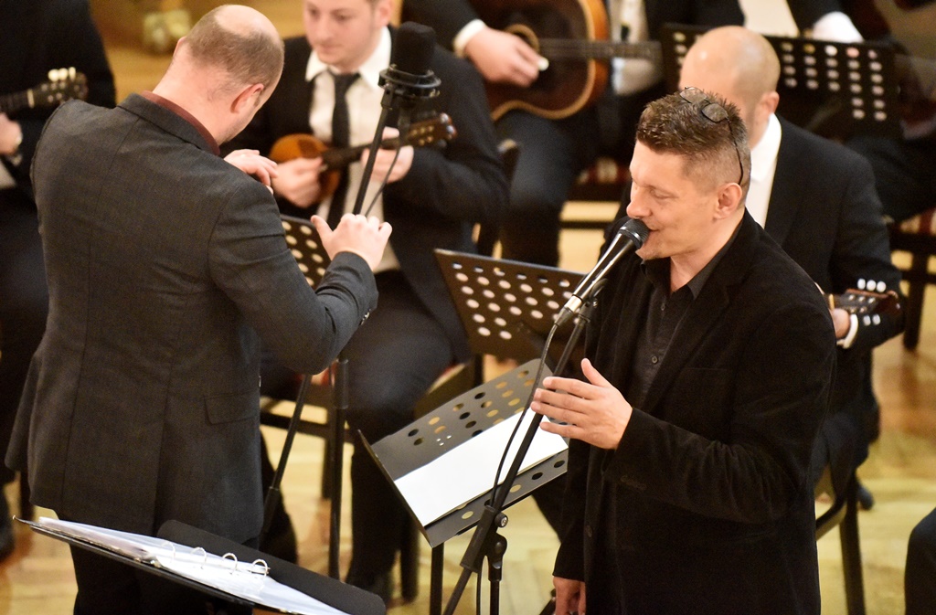 Image 5645027 (auto)