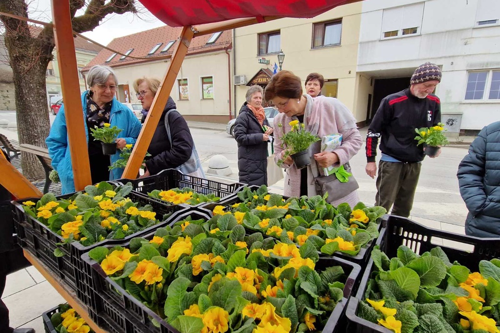 Image 5991035 (auto)