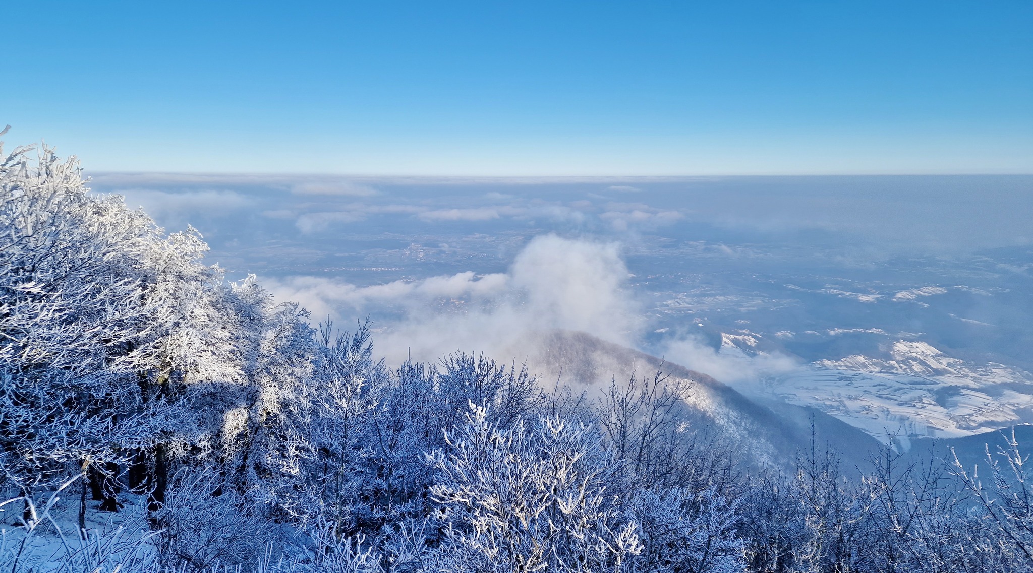 Image 5565707 (auto)