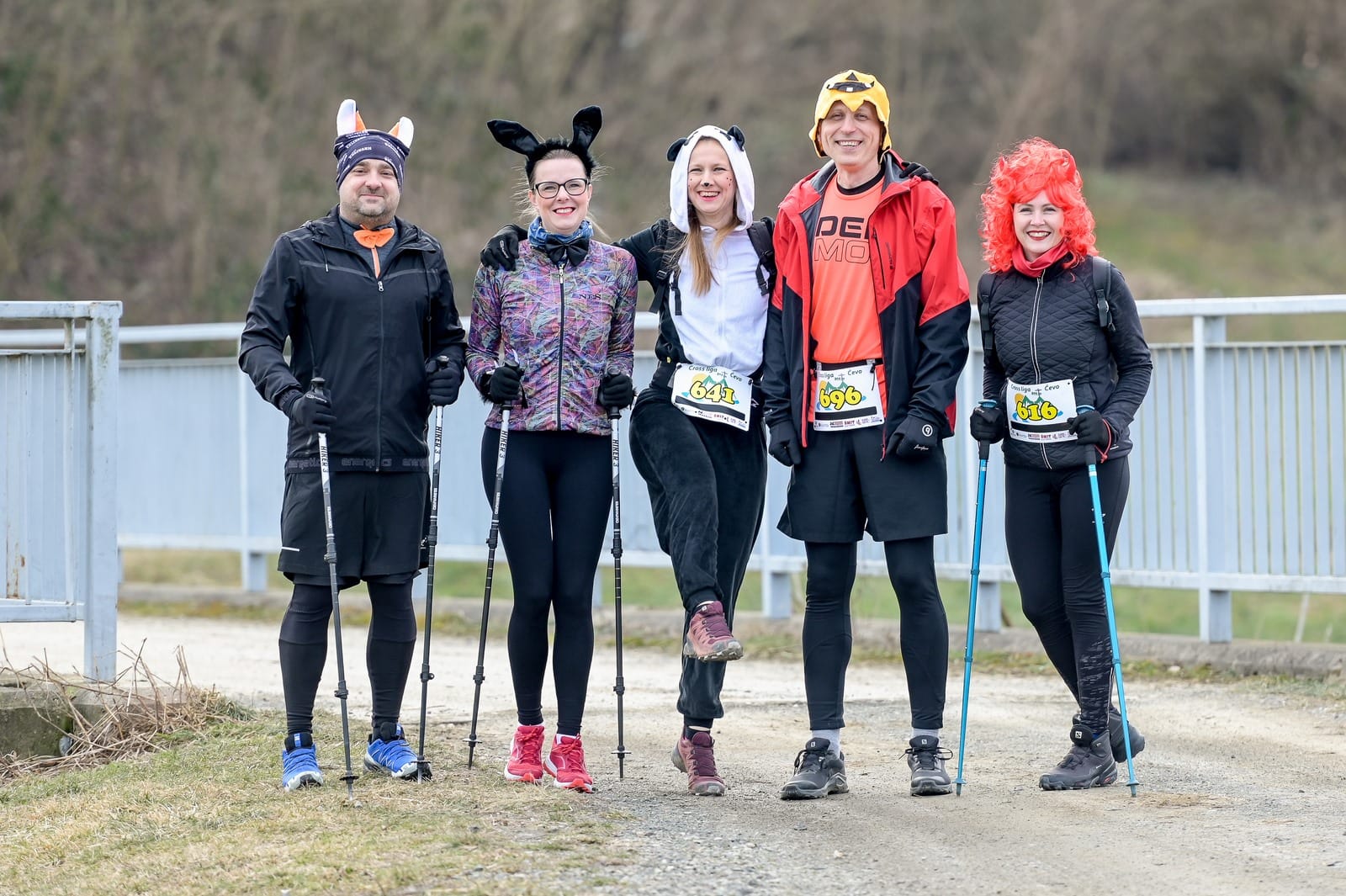 Image 5606357 (auto)