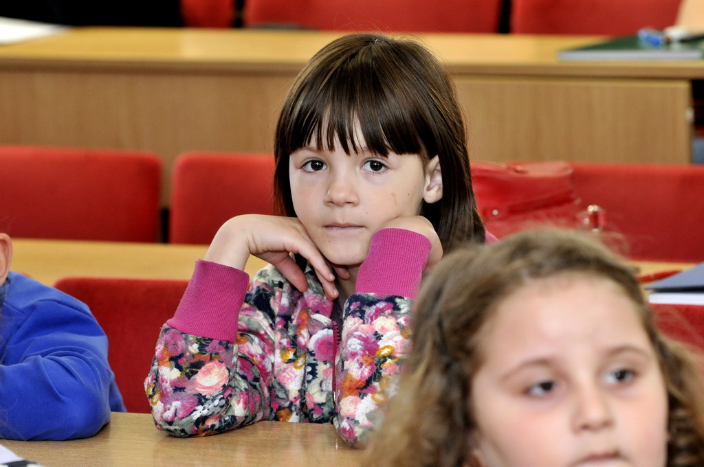 Festival znanosti Festival znanosti