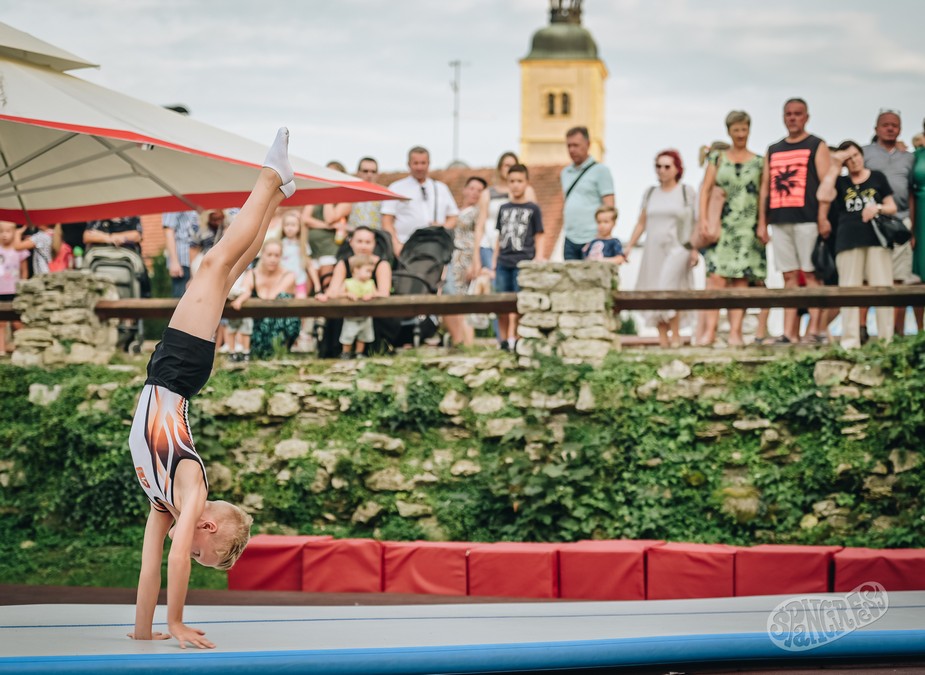 Image 5811877 (auto)