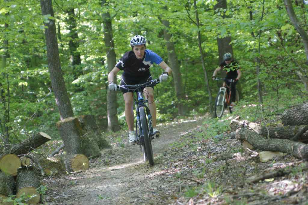 beretinecbbkasinovastaza1843852