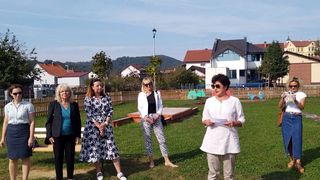 Image 5836321 (auto)