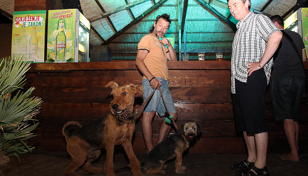 plazaigorbaksa36275891