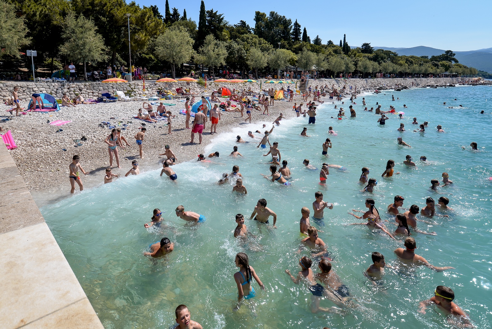 Zajednica sportskih udruga Grada Varaždina