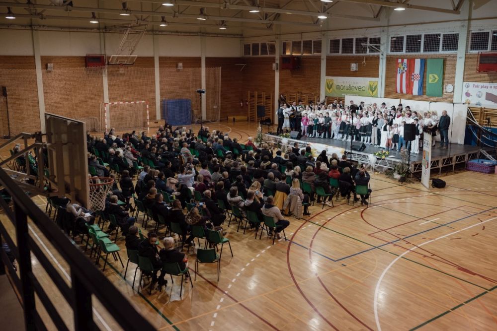 Image 5911763 (auto)