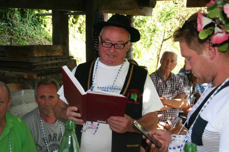 Image 3786181 (auto)