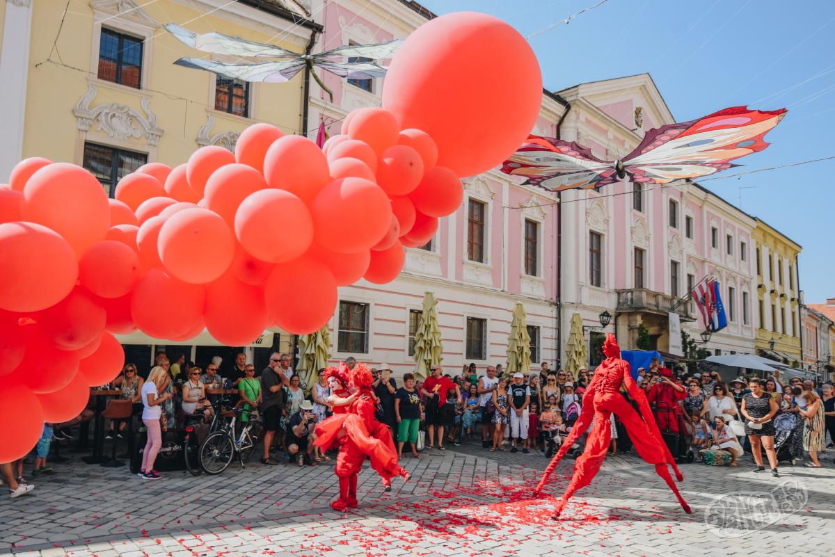 Image 5457386 (auto)