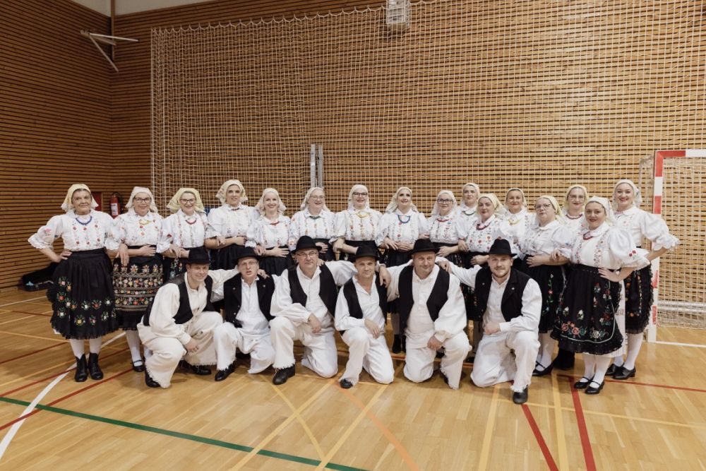 Image 5911871 (auto)