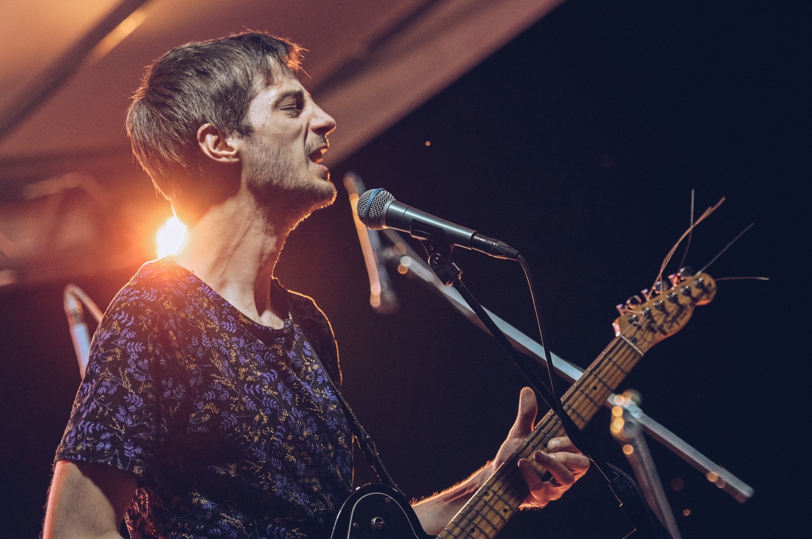 Image 4967728 (auto)