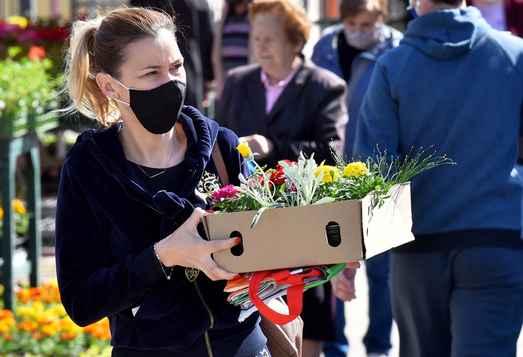 Image 4895630 (auto)